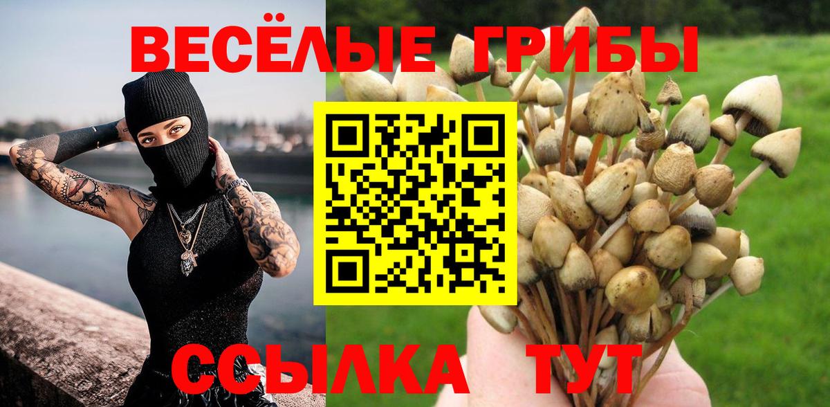 Псилоцибиновые грибы Cubensis  Псилоцибиновые грибы прущие грибы  Вход с VPN  Азов 